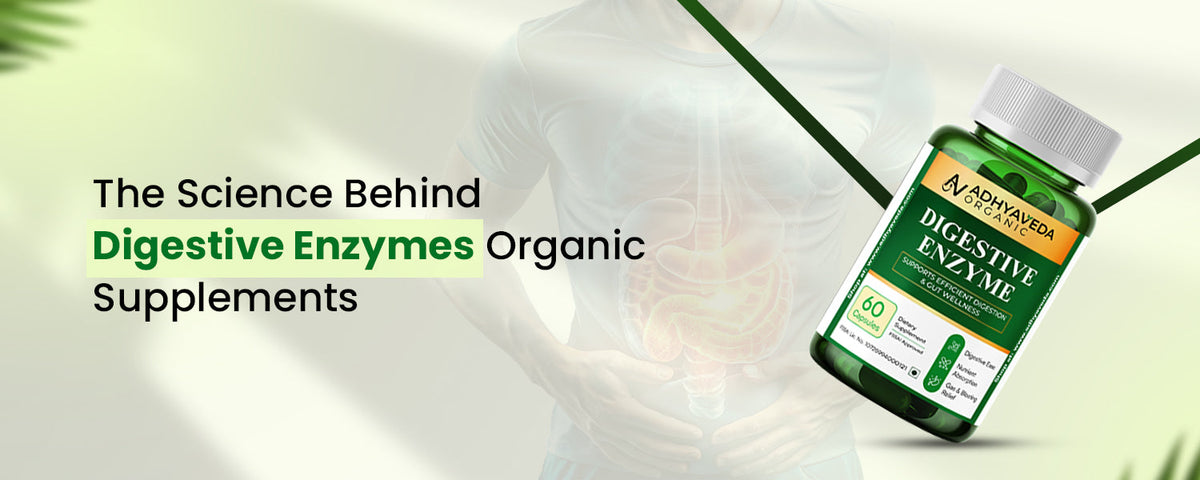 The Science Behind Digestive Enzymes Organic Supplements