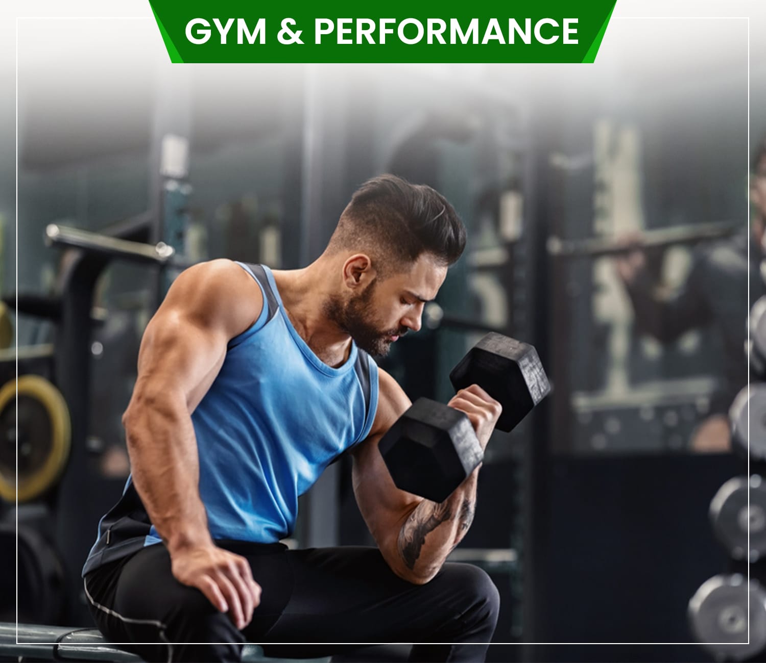 Gym & Performance