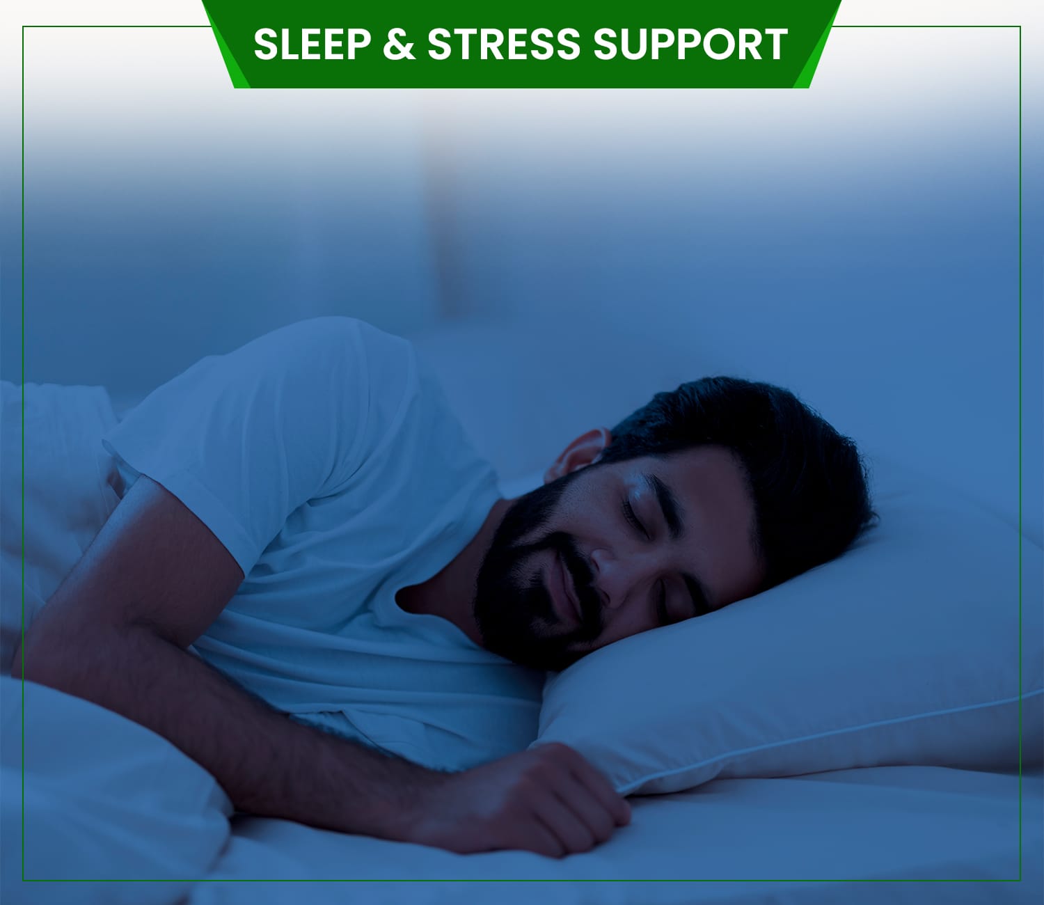 Sleep & Stress Support