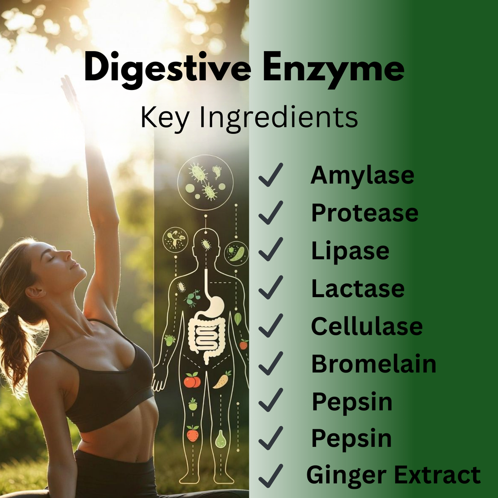 Adhyaveda Digestive & Daily Wellness Combo | Digestive Enzyme + Calcium Magnesium Zinc with D3, B12 & K2 | Plant-Based Daily Nutrition Support | 120 Count