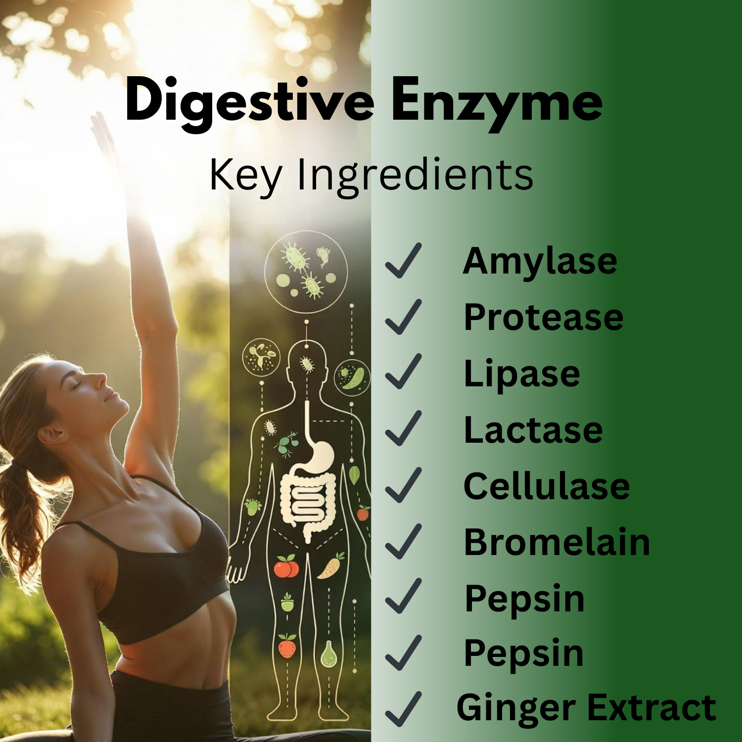 Adhyaveda Digestive & Bone Wellness Combo | Digestive Enzyme + Calcium Magnesium Zinc with D3, B12 & K2 | Daily Nutrition Support | 120 Count